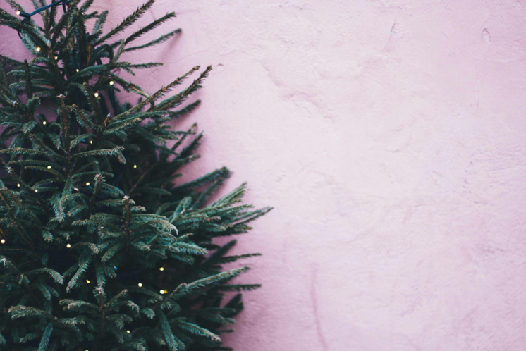 Table Top Christmas Trees Through the Eyes of Medieval Royalty